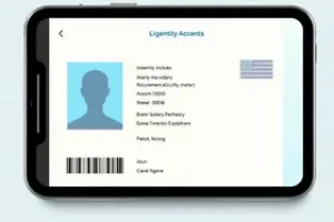 nova carteira de identidade