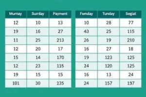 calendário do 13º salário do INSS