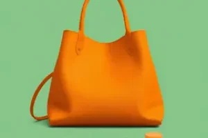 Bolsa Família