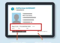 dados incorretos na Carteira de Trabalho Digital