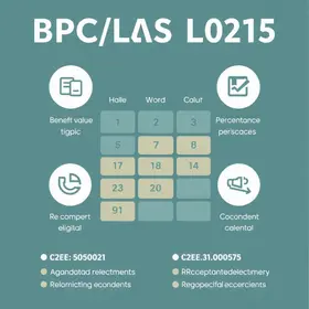 BPC/LOAS 2026